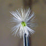 EZEYEFLY's Blue Wing Olive variant with large eye imitates the mayfly.