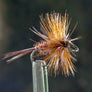 Midge Brown