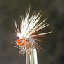 Caddis Elk Hair Tan Painted