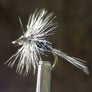 Midge Grizzly