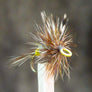 Adams Female Painted