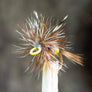 Adams Female Painted Easy-to-Tie Dry Fly, painted large eyelet fly fishing tie from EZEYEFLY