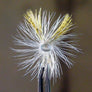 Cahill Light Painted