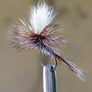 Adams Parachute