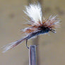Adams Parachute
