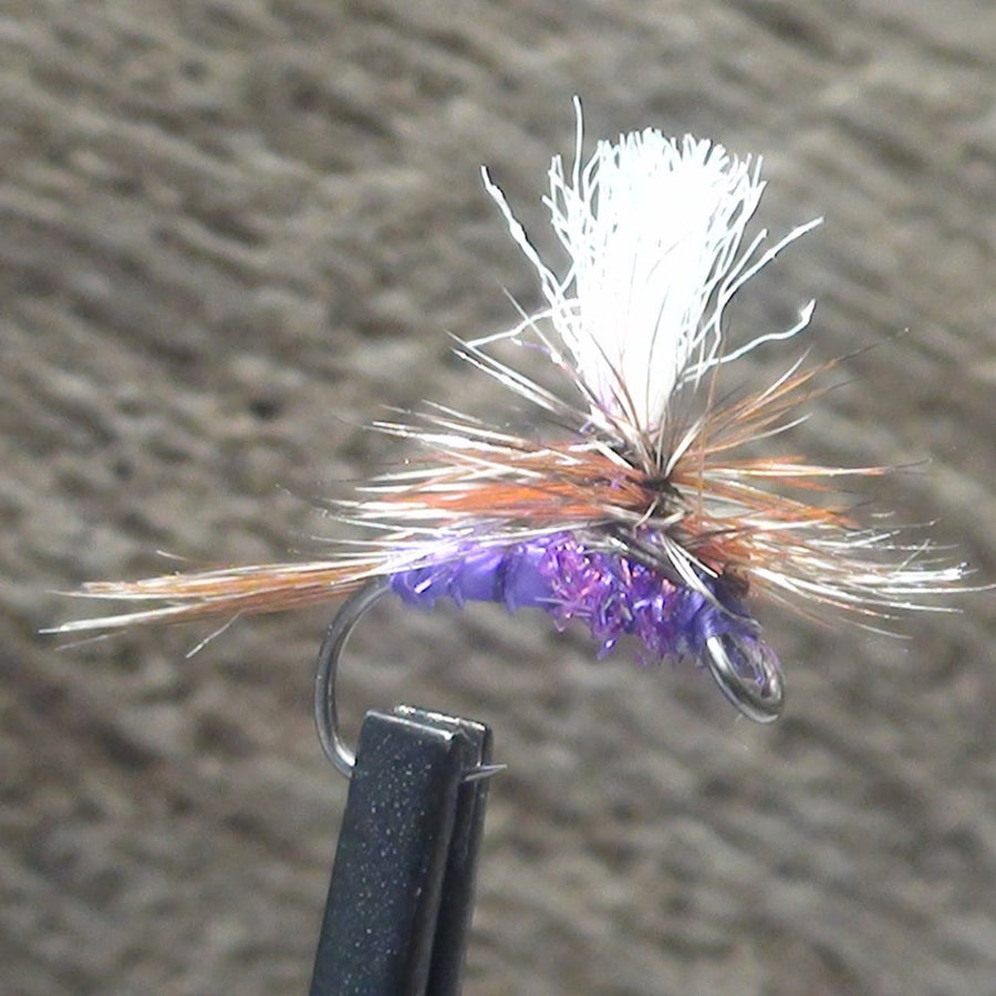 Purple Haze