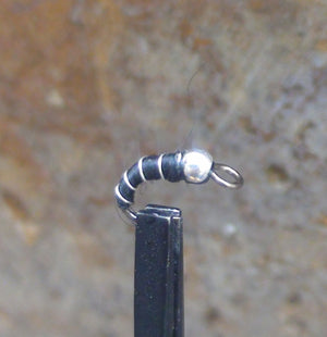 Zebra midge