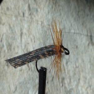 Caddis Tent Wing Curled