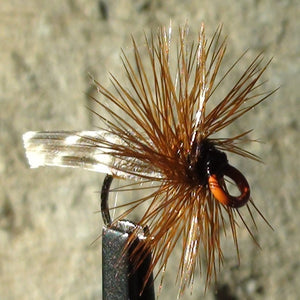 Caddis Tent Wing  Curled  Painted