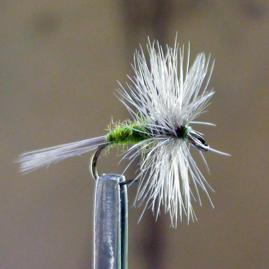 Beginner fly anglers should use the EZEYEFLY brand of large eye flies, like this Blue Wing Olive.