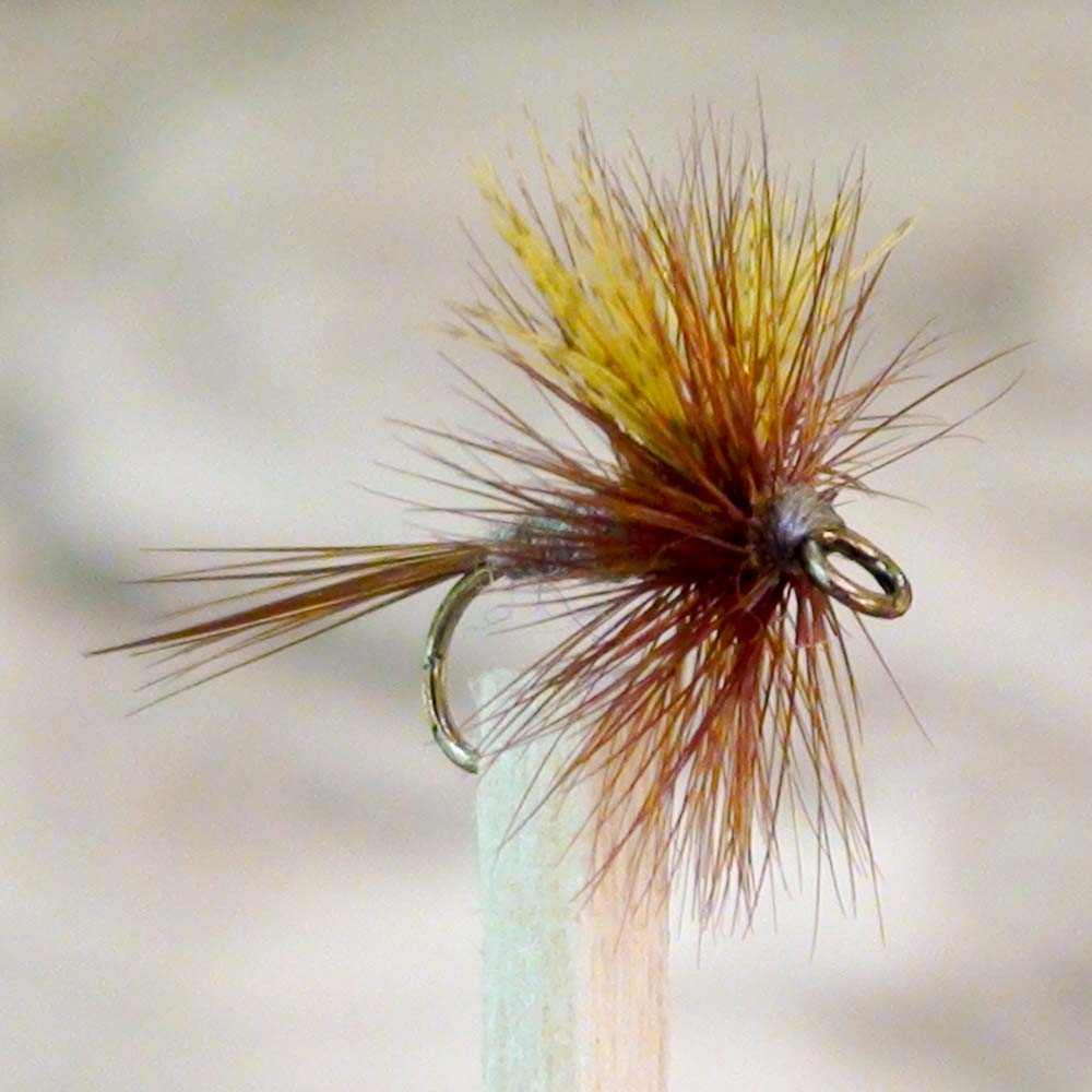 cahill fly reel combo Cahill Dark – EZEYEFLY