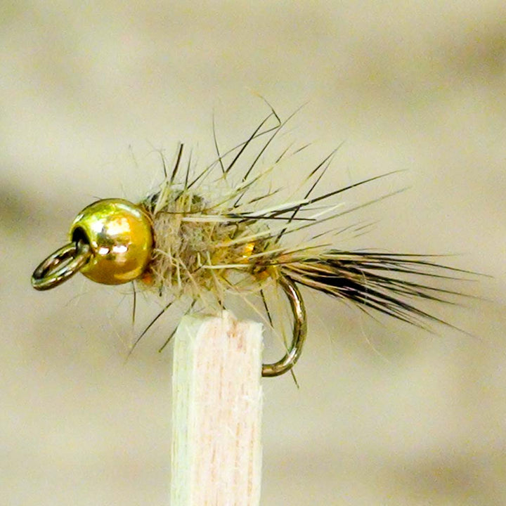  12 Flies - Copper John Bead Head Nymph Fishing Fly Ties on  Mustad Signature Fly Hooks (Hook #10) : Sports & Outdoors