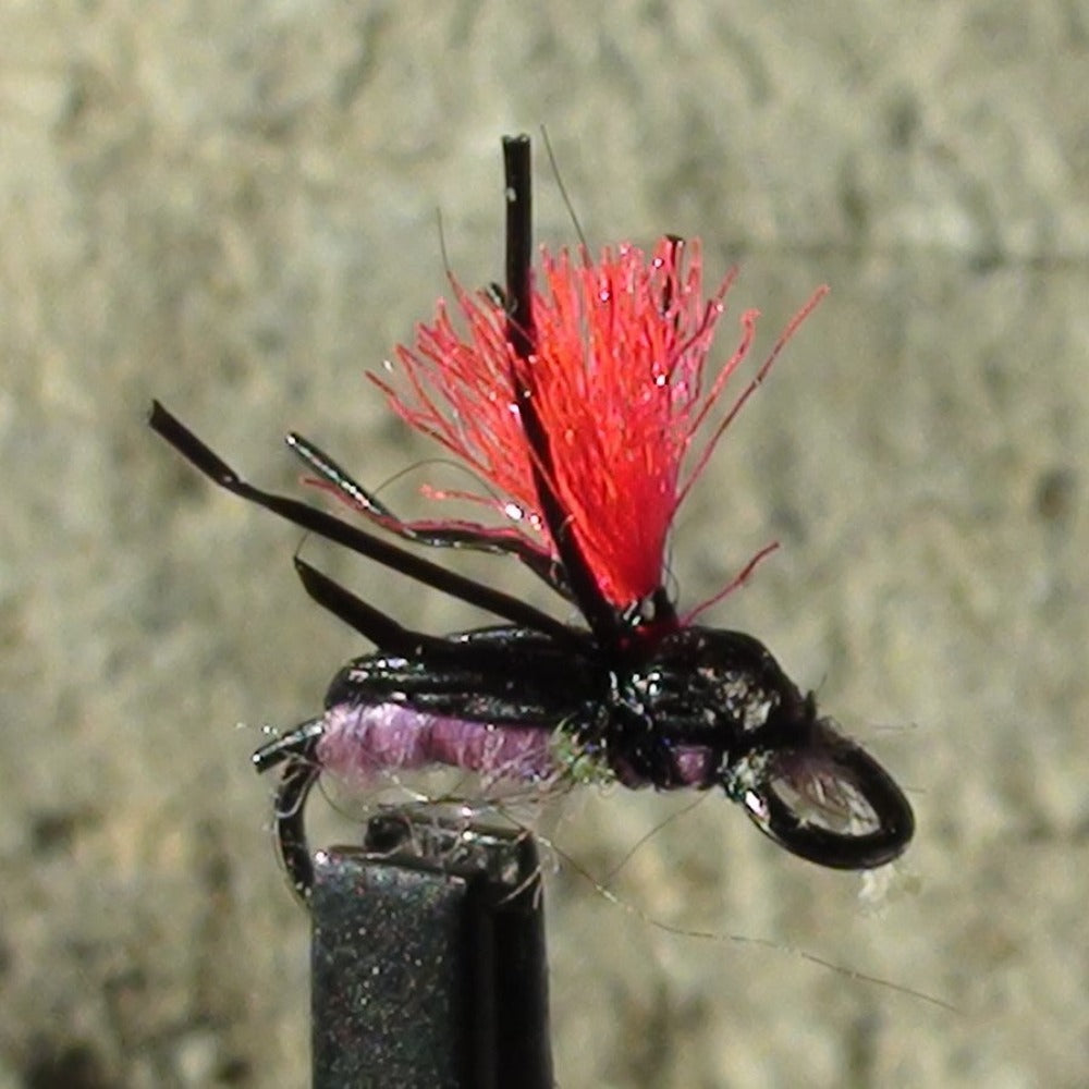 Flying Ant Black – EZEYEFLY