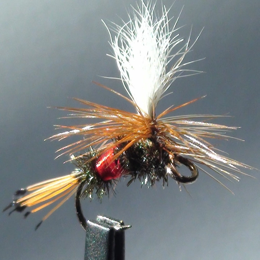 Coachman Insect Royal Coachman Parachute – EZEYEFLY